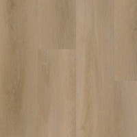 Attico 810 Dryback Belakos 